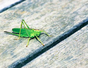 ���u�L��