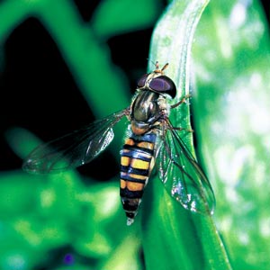 �z�\�q���^�A�u