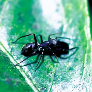 �A���O��