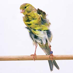 �}�L�Q�J�i���A