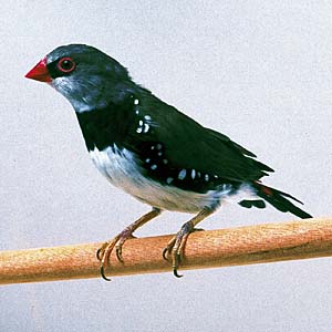 �_�C�L���J�`���E