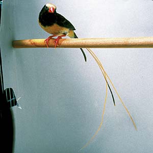 �L�T�L�X�Y��