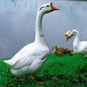 �V�i�K�`���E