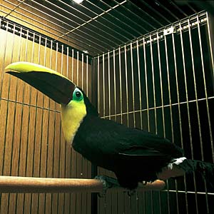 �L���l�I�I�n�V