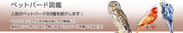 �y�b�g�o�[�h�}��