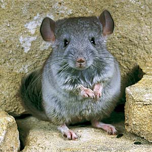 �`���`��