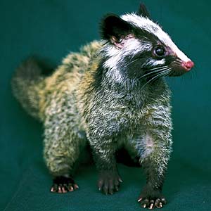 �n�N�r�V��