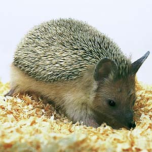 �I�I�~�~�n���l�Y�~