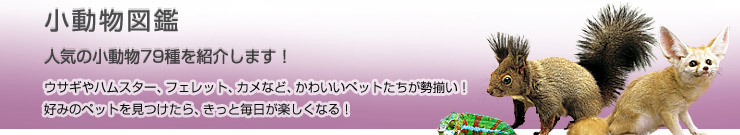 �������}��