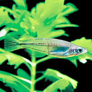 �Z���x�X���_�J