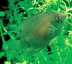 �Z�x����