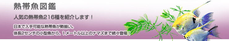 �M�ы��}��