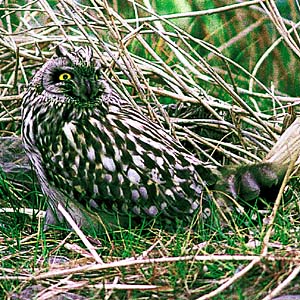 �R�~�~�Y�N