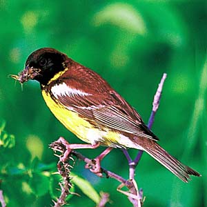 �V�}�A�I�W