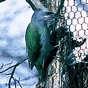 ���}�Q��