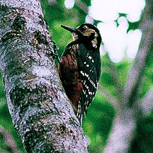 �I�I�A�J�Q��