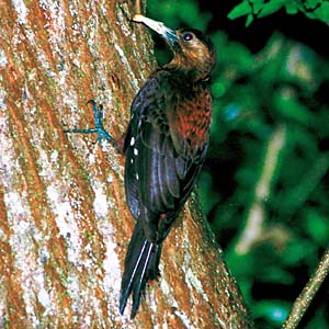 �m�O�`�Q��