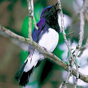 �I�I����