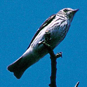 �G�]�r�^�L