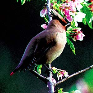 �q�����W���N