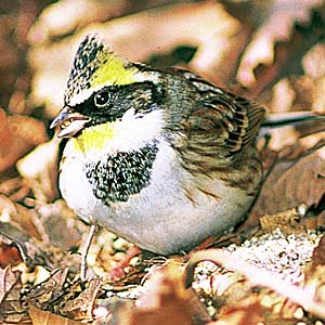 �~���}�z�I�W��