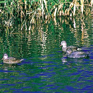 �I�J���V�K��