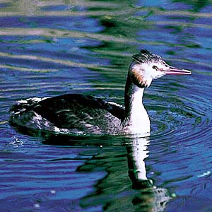 �J�������J�C�c�u��