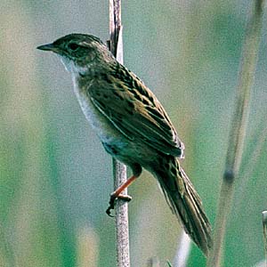 �I�I�Z�b�J