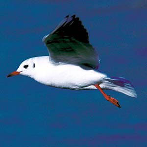 �����J����