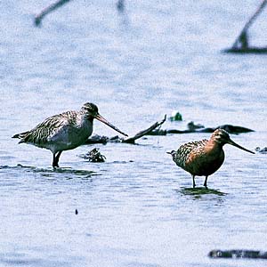 �I�I�\���n�V�V�M