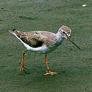 �\���n�V�V�M