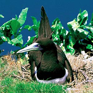 �J�c�I�h��