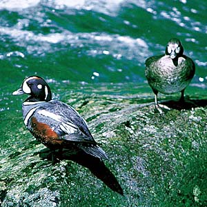 �V�m���K��