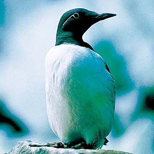 �E�~�K���X