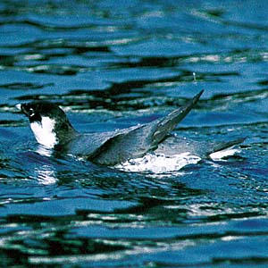 �E�~�X�Y��