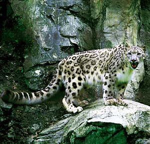 ���L�q���E