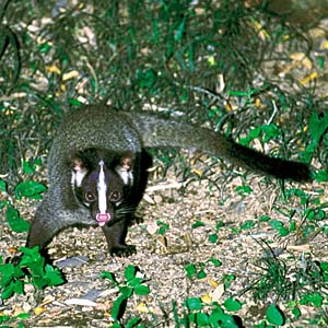 �n�N�r�V��