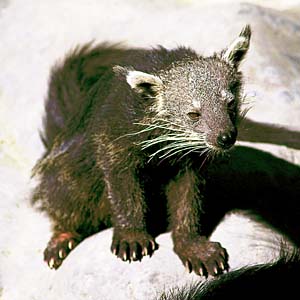 �r���c�����O