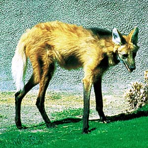 �^�e�K�~�I�I�J�~