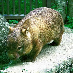 �q���E�H���o�b�g