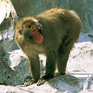 �j�z���U��