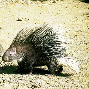 �A�W�A�^�e�K�~���}�A���V