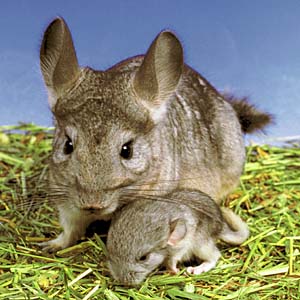 �`���`��