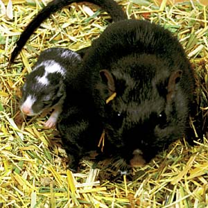 �X�i�l�Y�~