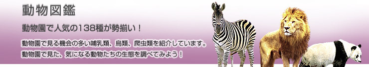 �����}��