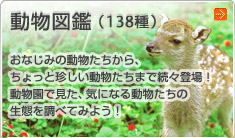 �����}��